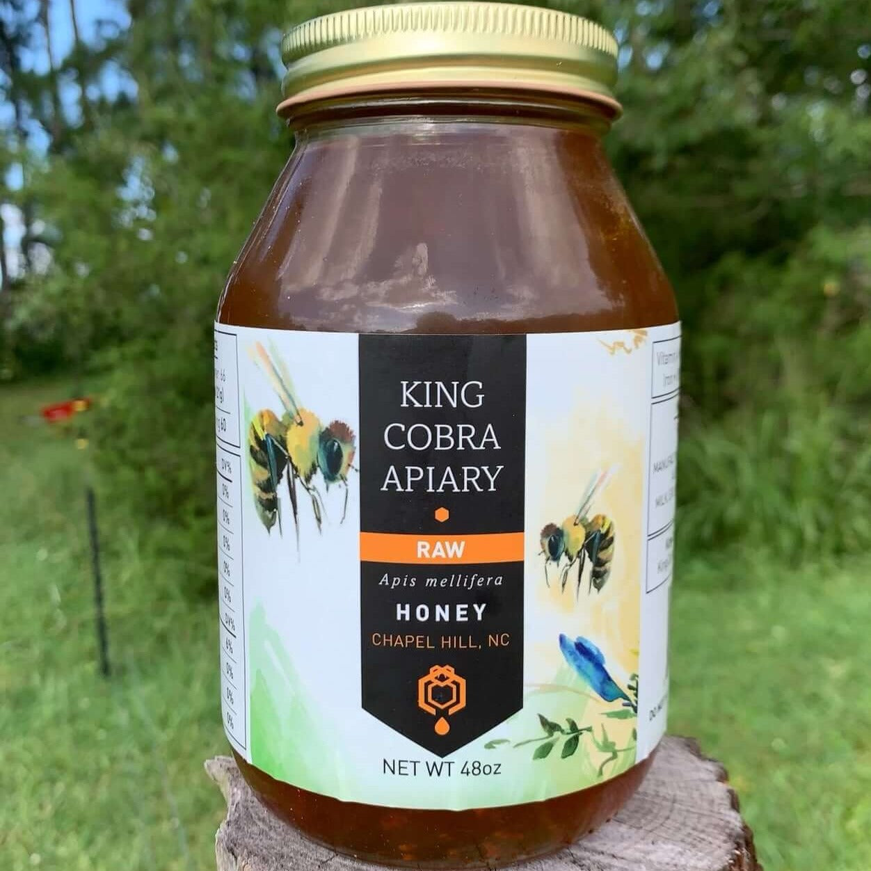 Raw Wildflower Honey - Summer Harvest - 48 oz - NC Honey