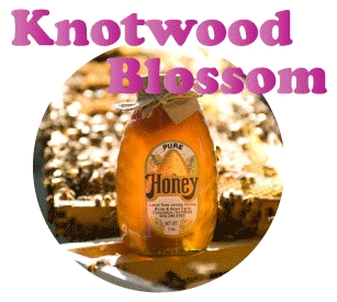 Knotwood Blossom Honey · 5 lb. Plastic