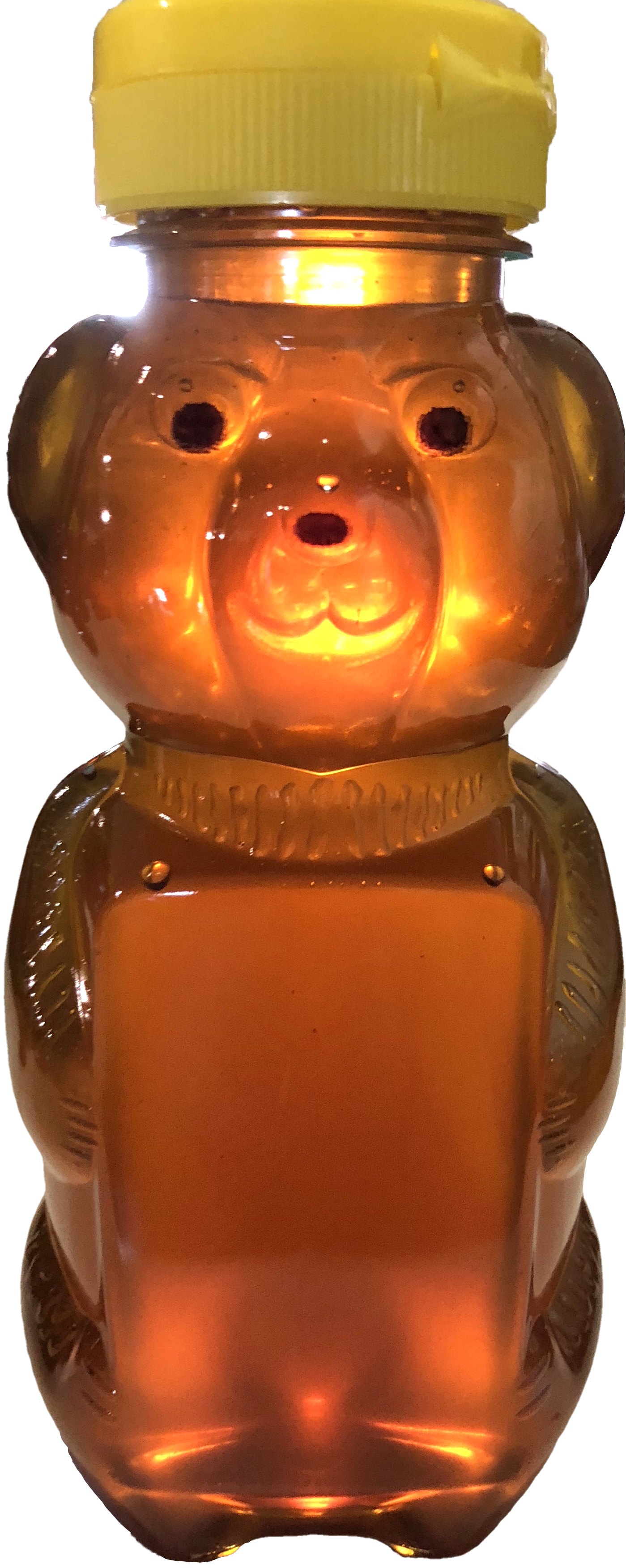 Bottle of Gallberry Honey 12oz