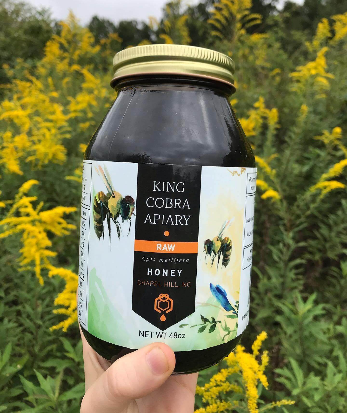 Raw Wildflower Honey - Fall Harvest - 48 oz - NC Honey