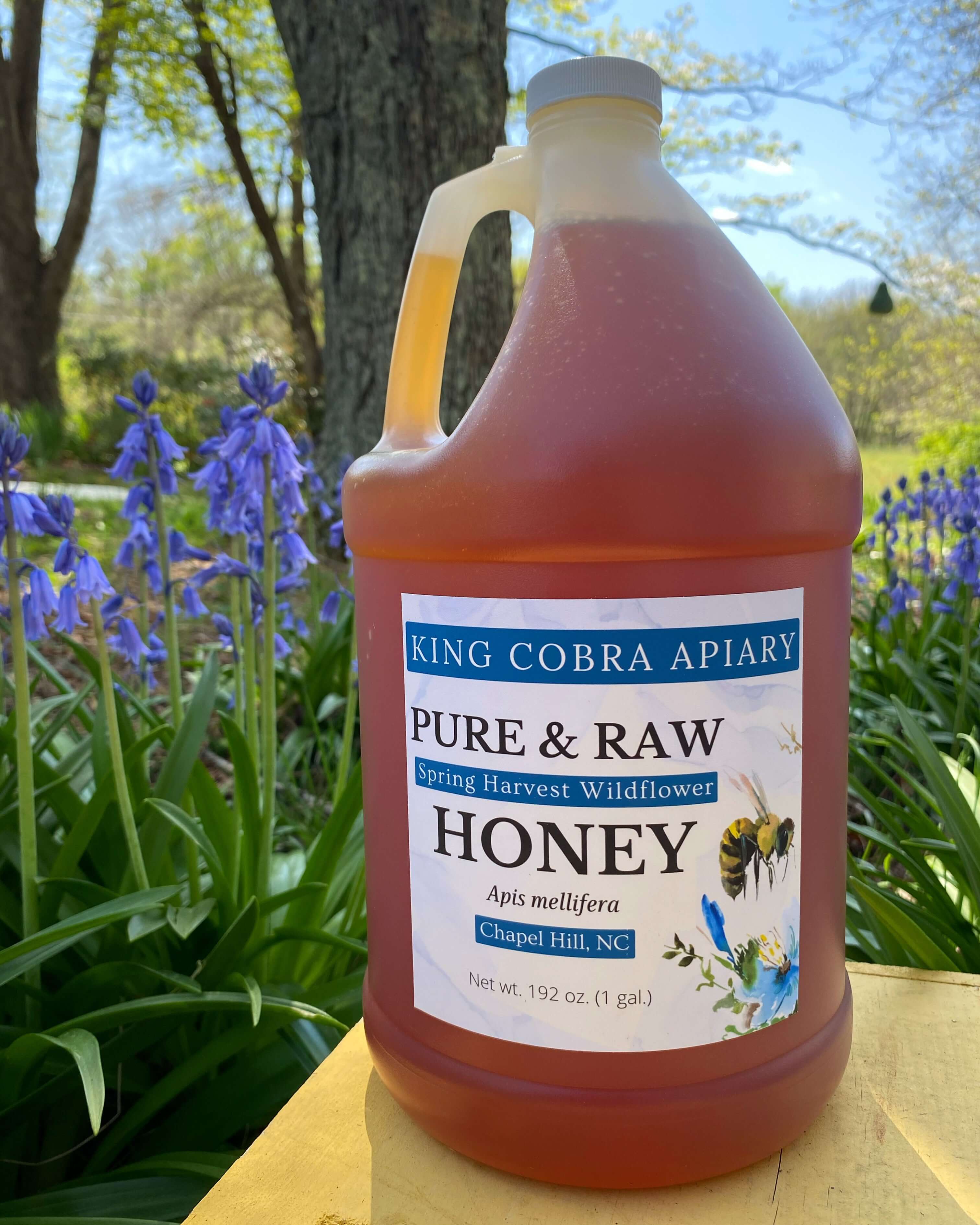 Raw Wildflower Honey - Spring Harvest - 1 Gallon