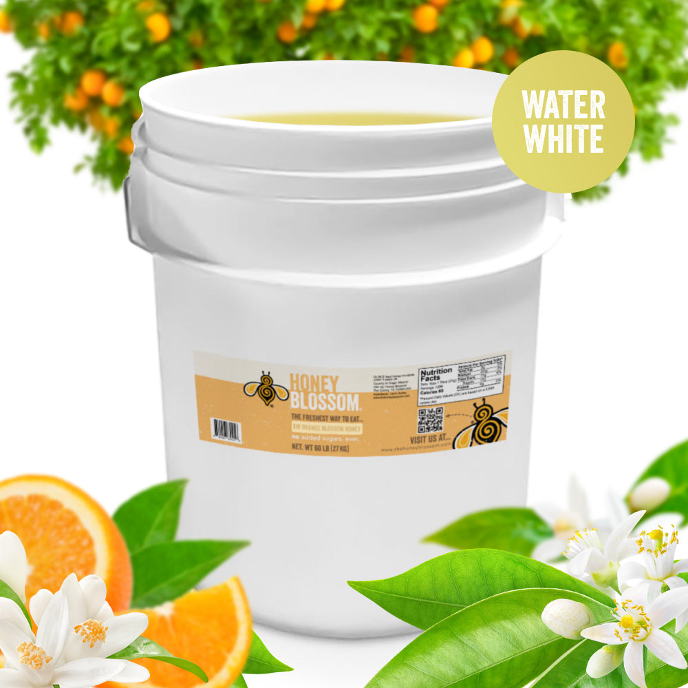 Orange Blossom Honey (Water White) 60-lb Bucket