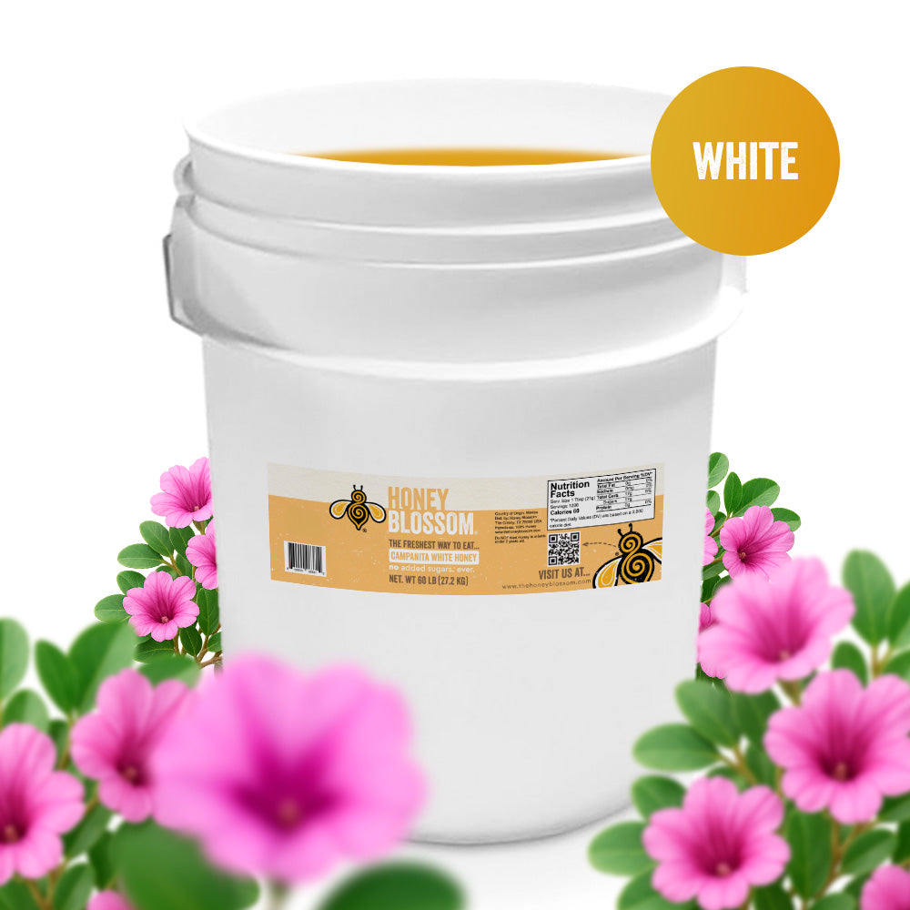 Campanita Honey (White) 60-lb Bucket