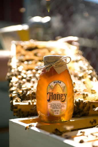 Sweet Clover Blossom Honey · 5 lb. Plastic