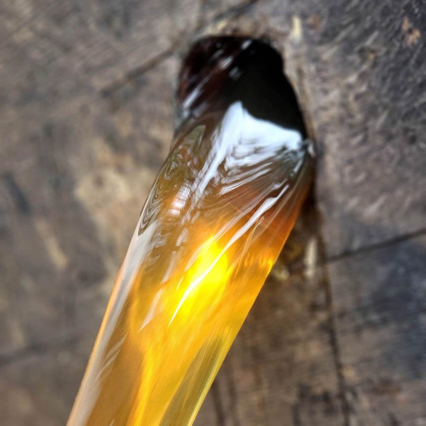 Barrel-Aged Black Mangrove Honey Infused with Cinnamon & Spice