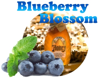 Blueberry Blossom Honey · 5 lb. Plastic