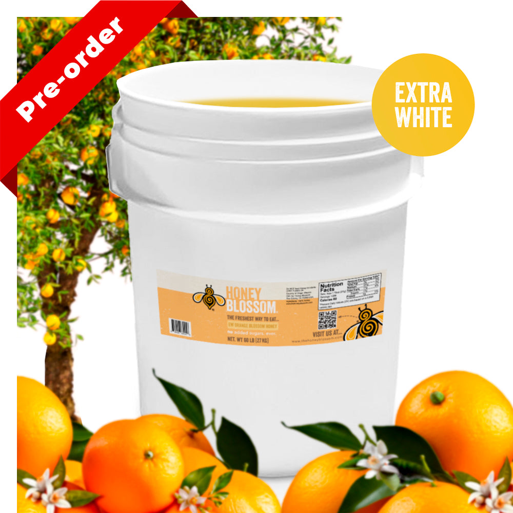 Orange Blossom Honey (Extra White) 60-lb Bucket