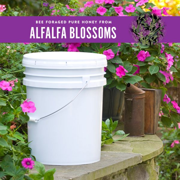 Alfalfa Pail · 60 lb pail