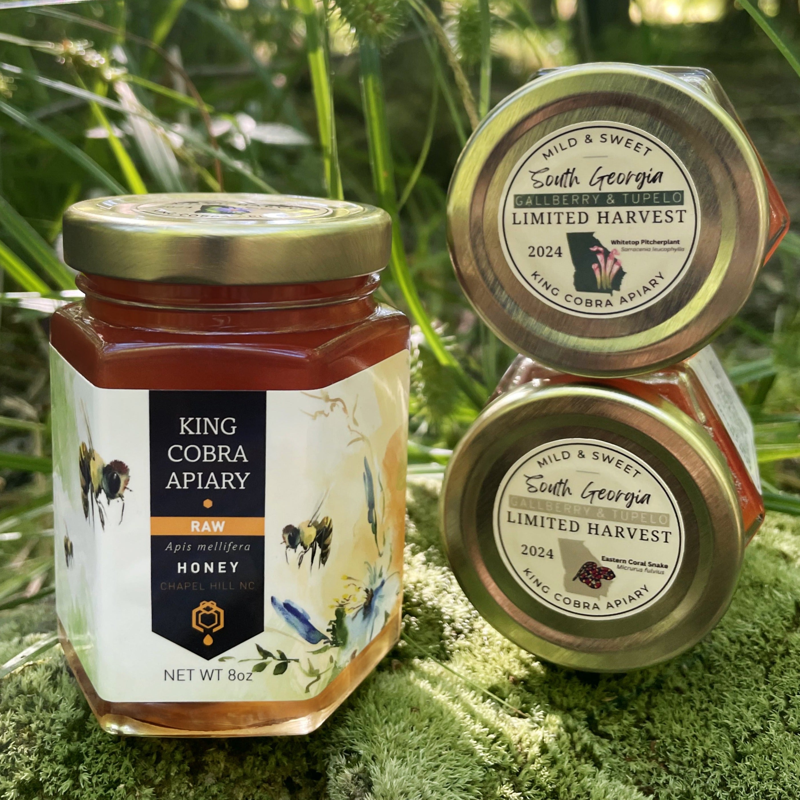 Raw Gallberry and Tupelo Honey - 8 oz - Georgia Honey