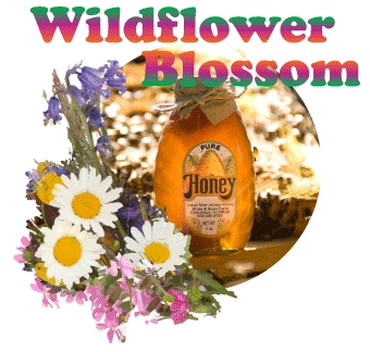 Wildflower Blossom Honey · 5 lb. Plastic