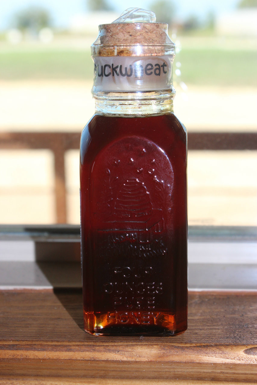 4 oz Glass Muth Jar - Buckwheat Honey