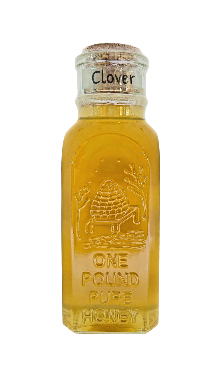 1 lb Glass Muth Jar - Midwestern Clover Honey