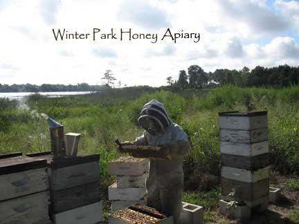 Tupelo Honey 16 oz. – Kosher