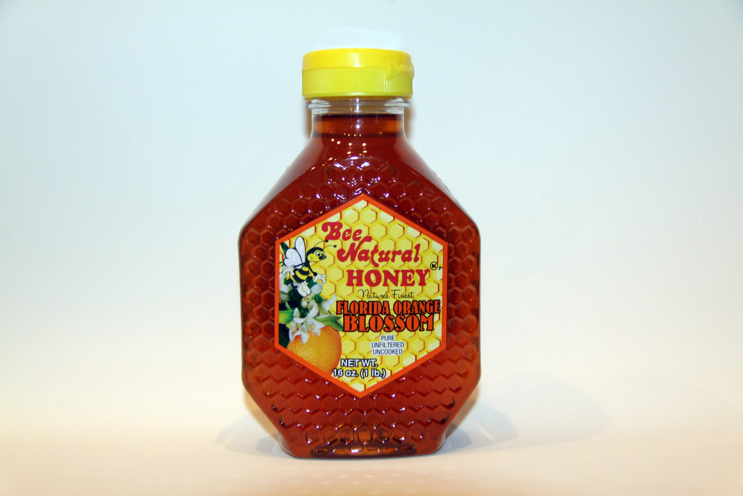 Case of 12 Orange Blossom Honey 16oz bottles